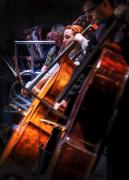  DSF1990 philomusica reh 250329